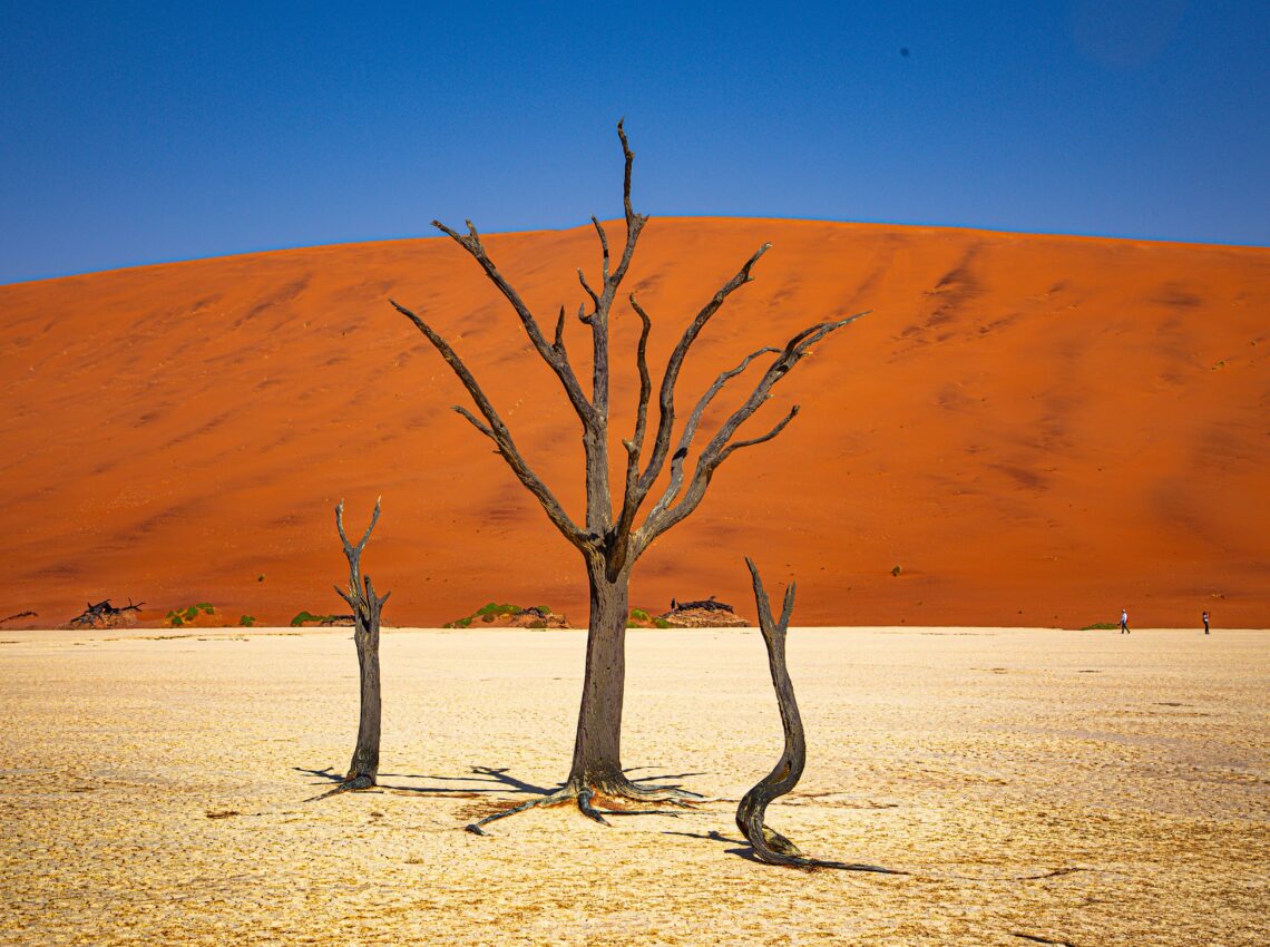 Sossusvlei and Deadvlei: Where Time Stands Still
