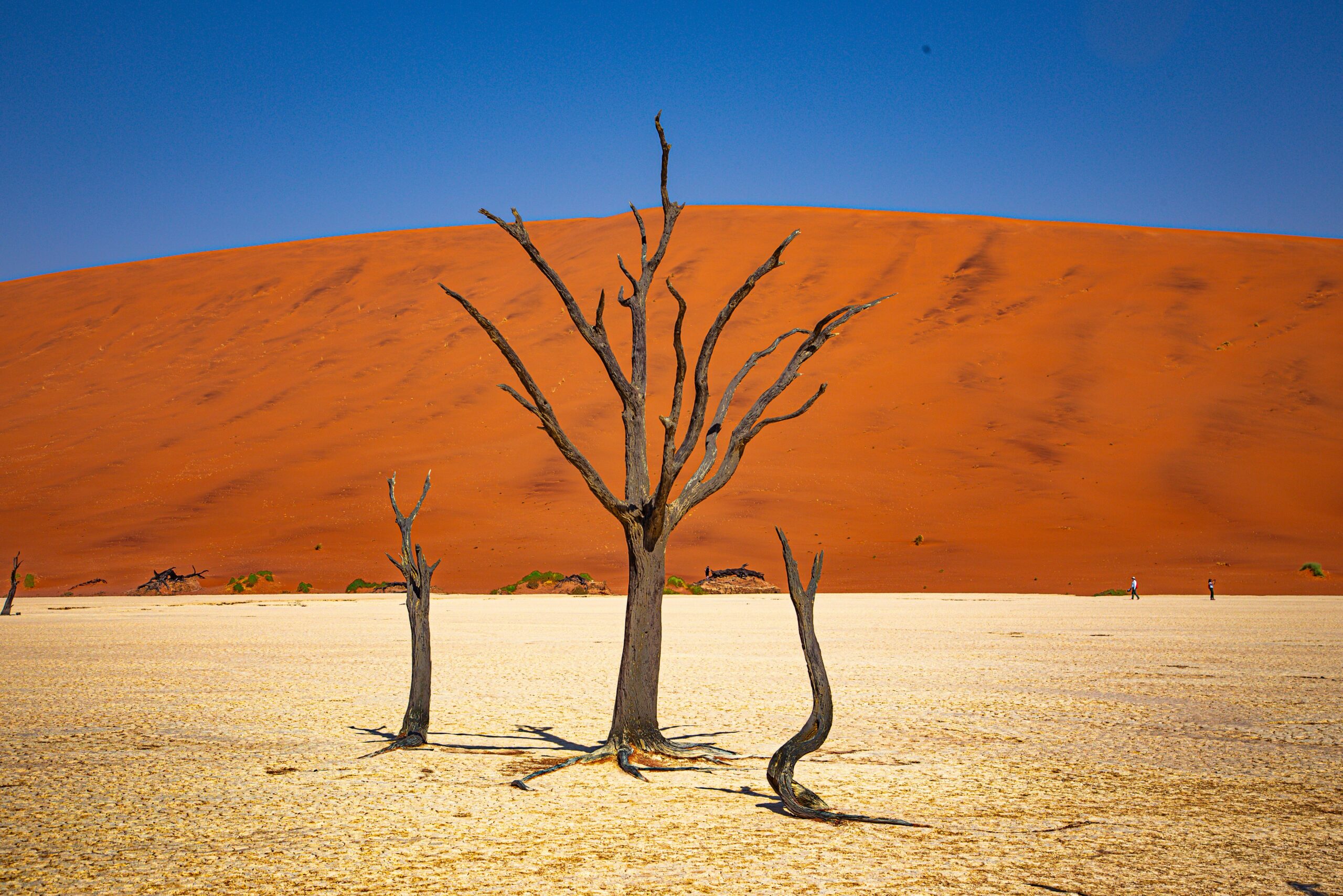 Sossusvlei and Deadvlei: Where Time Stands Still